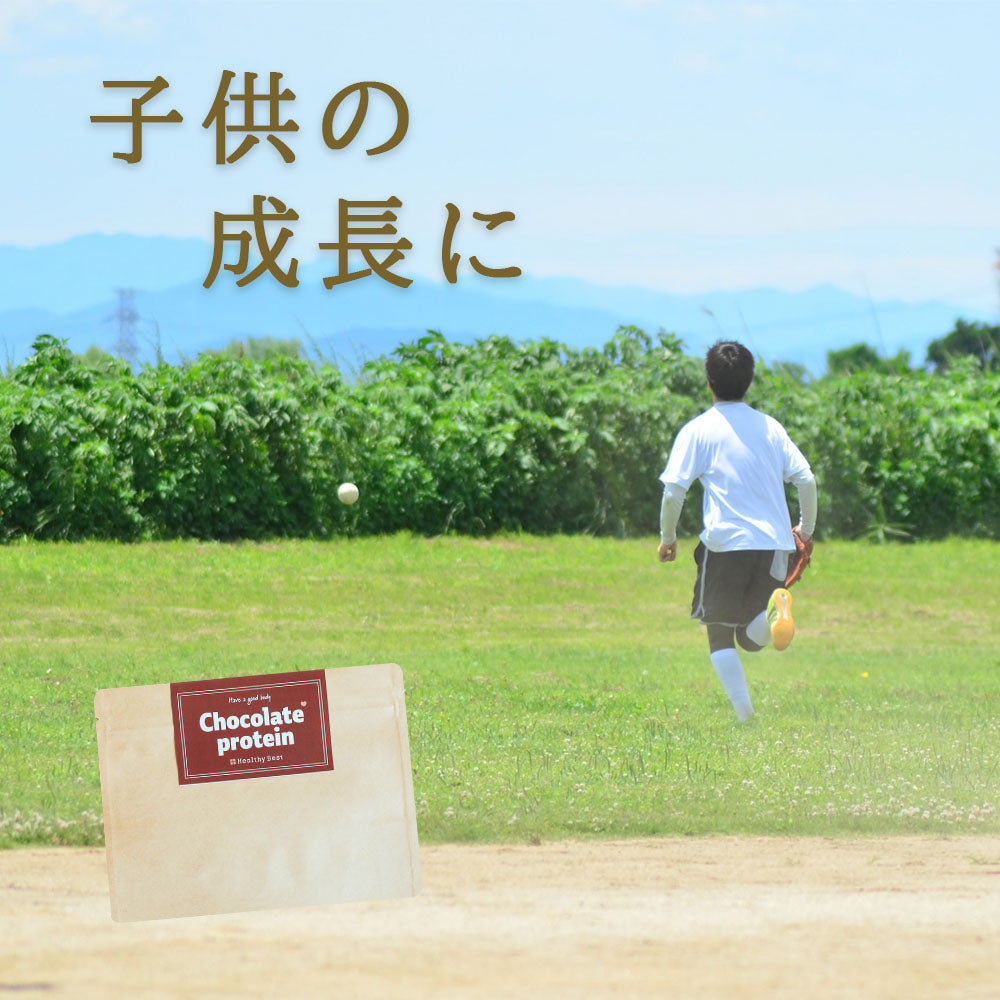 チョコレートプロテイン120g