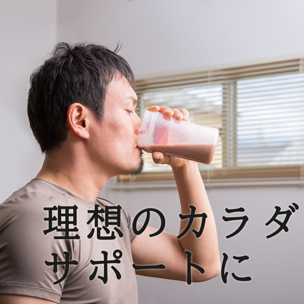 チョコレートプロテイン120g