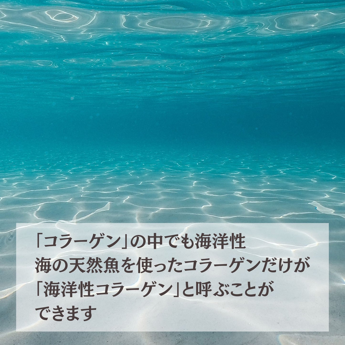 海洋性コラーゲン