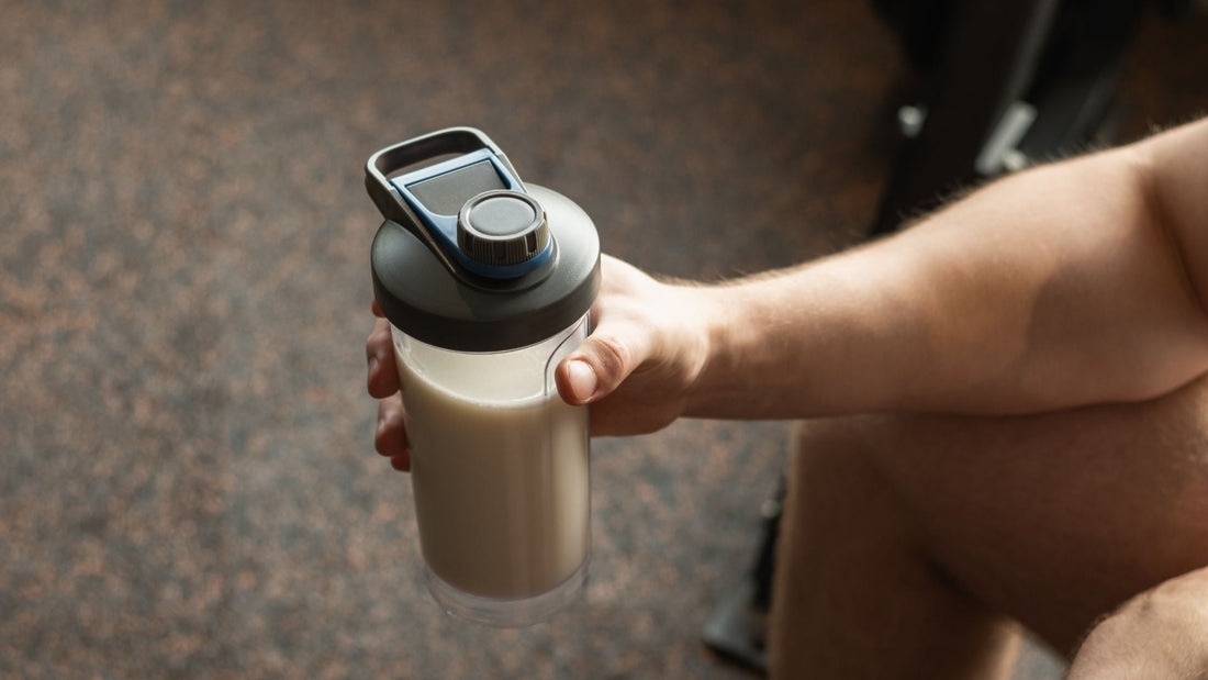 目的別のプロテインの摂取