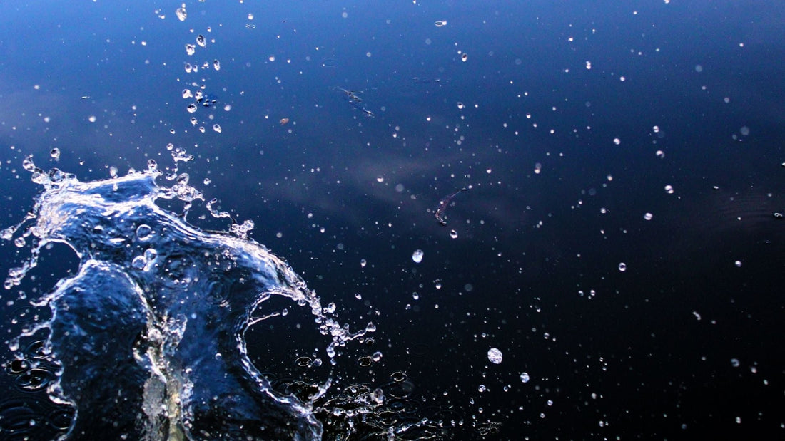 ホエイプロテインに関するよくある質問