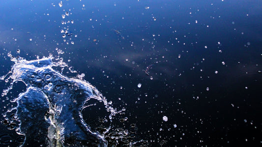 ホエイプロテインに関するよくある質問